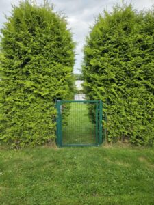 Działka ROD- Twoje wymarzone miejsce pod słońcem w Lęborku!