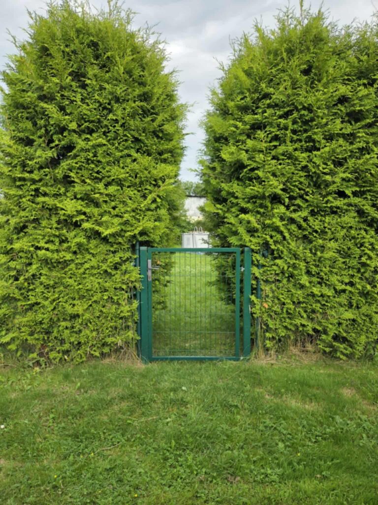 Działka ROD- Twoje wymarzone miejsce pod słońcem w Lęborku!