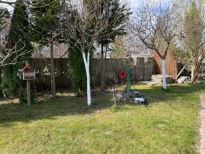 Dom położony w Leśnicach z garażem, sklepem oraz miejscem pod wynajem na paczkomat